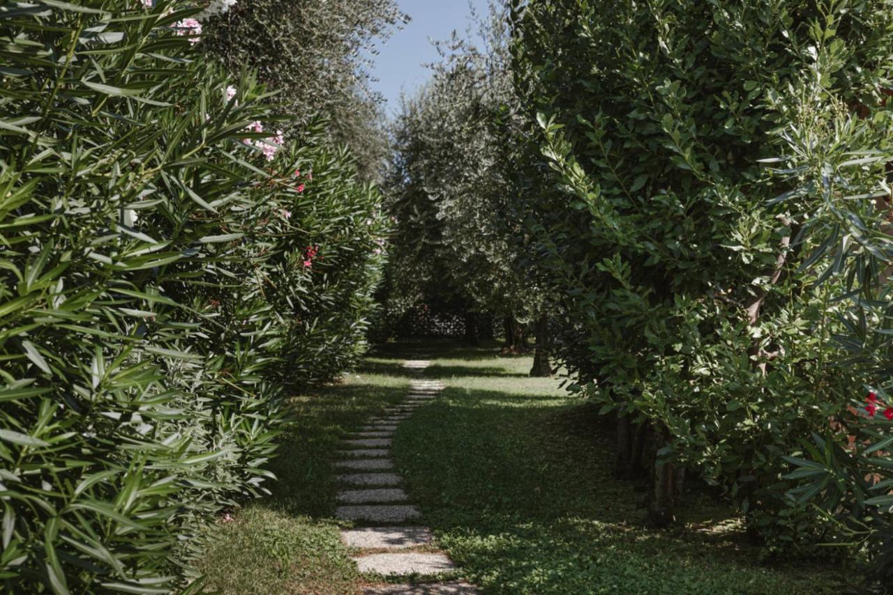Minerva Holiday Home Manerba del Garda Exterior foto